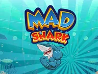 image bg Mad Shark Fish